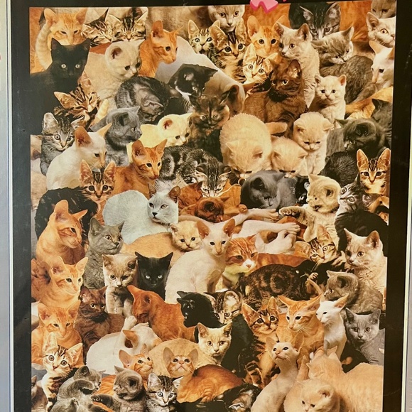 NWT Ravensburger “Catmania” Puzzle 1000 Pieces - Picture 3 of 5